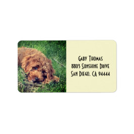 Golden Doodle Address Labels ラベル