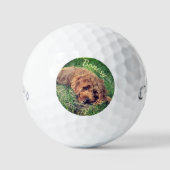 Golden Doodle Callaway Soft Golf Balls ゴルフボール (正面)