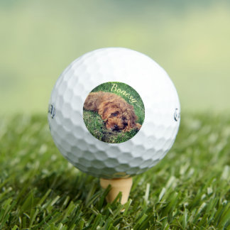Golden Doodle Callaway Soft Golf Balls ゴルフボール