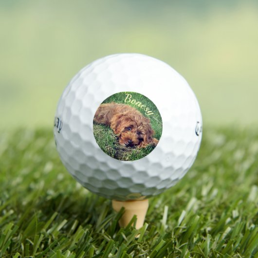 Golden Doodle Callaway Soft Golf Balls ゴルフボール (インサイチュ 木)