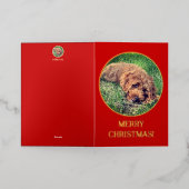 Golden Doodle Red 箔グリーティングカード (外側レイダウン)