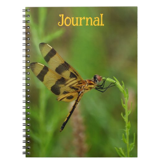 Golden Dragonfly Personal Journal ノートブック (正面)
