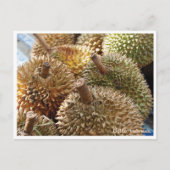 Golden Durian Bali Market – Travel Postcard シーズンポストカード (正面)