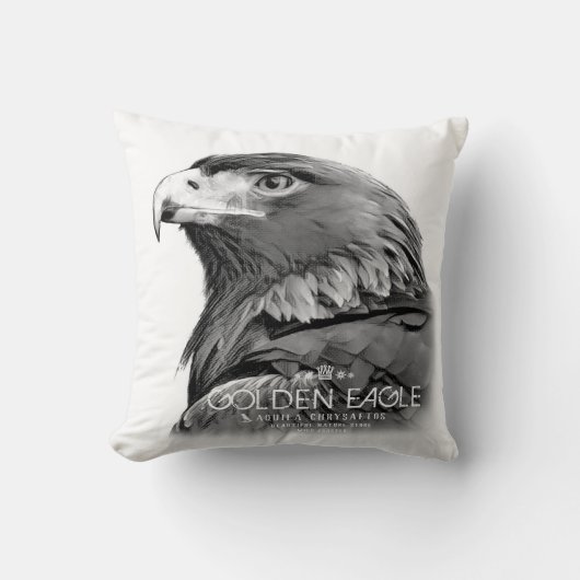 Golden Eagle クッション (正面)