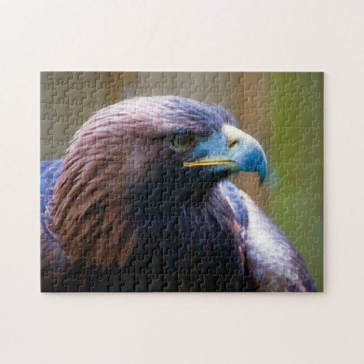 Golden Eagle Jigsaw puzzle ジグソーパズル (横)
