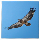 Golden Eagle Large 6" x 6" タイル (正面)