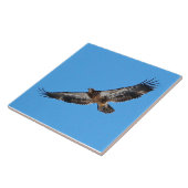 Golden Eagle Large 6" x 6" タイル (側面)
