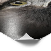 Golden Eagle：Photo Print フォトプリント (角)