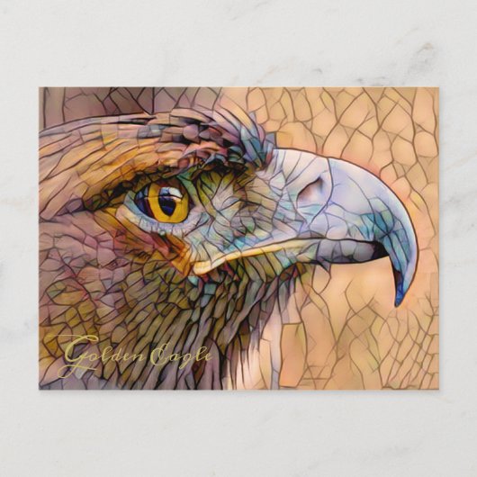 Golden Eagle [Postcard] ポストカード (正面)