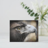 Golden Eagle:Postcard ポストカード (スタンド正面)