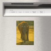 Golden Elephant Wisdom – Majestic Wildlife マグネット (インサイチュ (食洗機))