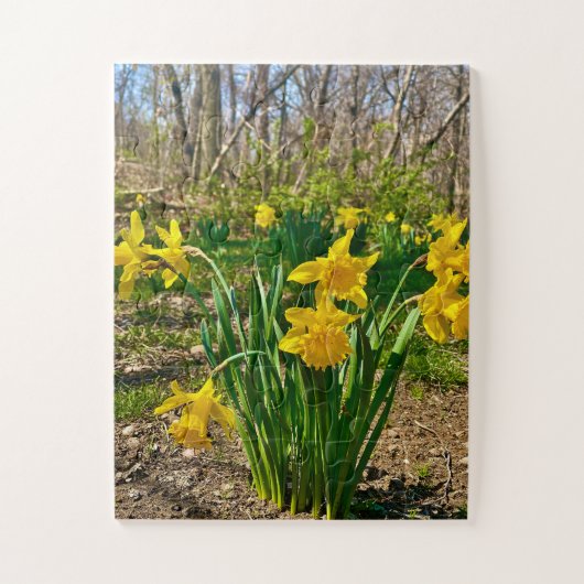 Golden Embrace | 春の水仙の花 ジグソーパズル (縦)