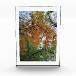 Golden Fall Photo Block フォトブロック