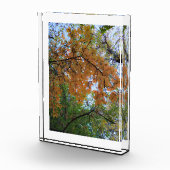 Golden Fall Photo Block フォトブロック (右)