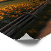Golden Fields: Sunflowers and Serenity at Sunset ポスター (角)