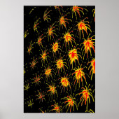 Golden Fireburst Poster ポスター (正面)