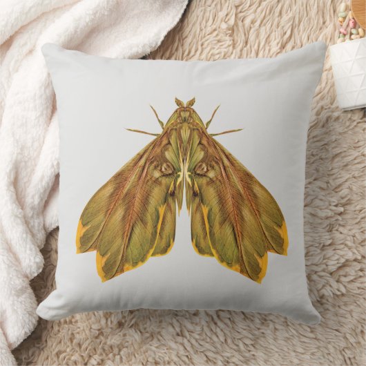 Golden Forest Moth – Surreal Nature Form クッション (ブランケット)