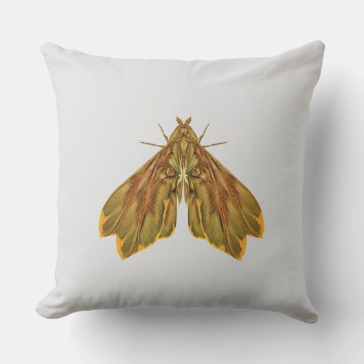 Golden Forest Moth – Surreal Nature Form クッション (正面)
