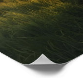 Golden Grove Sunrise – Tranquil Sunlit Forest Stre ポスター (角)