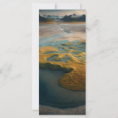 Golden Harmony (正面)