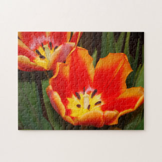 Golden Heart Tulip Puzzle, 11" x 14", 252 pieces ジグソーパズル