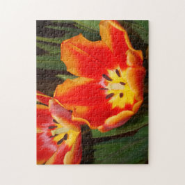 Golden Heart Tulip Puzzle, 11" x 14", 252 pieces ジグソーパズル