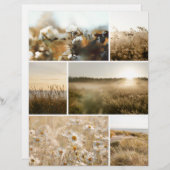 Golden hour nature Scrapbook paper for cutouts (正面/裏面)