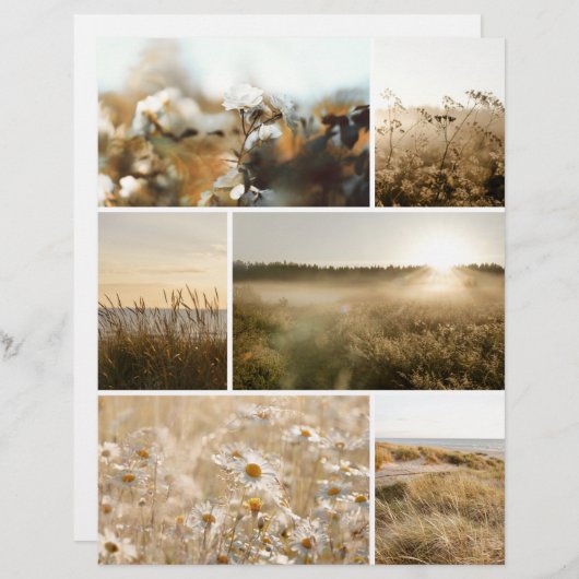 Golden hour nature Scrapbook paper for cutouts (正面/裏面)