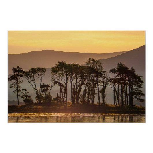 Golden Hour Reflections Kenmare Bay Ireland Print ポスター (正面)
