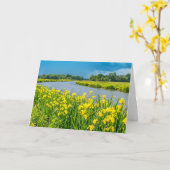 Golden Irises inspiring the symbol Fleur de Lis.  カード (黄色い花)