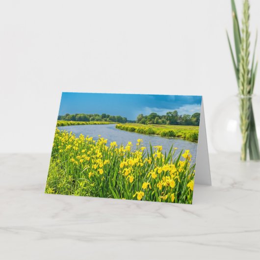 Golden Irises inspiring the symbol Fleur de Lis.  カード (正面)