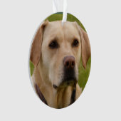 Golden Labカスタマイズ可能なクリスマス オーナメント (正面)