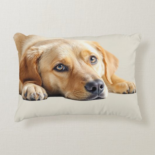 Golden Lab Pillow  アクセントクッション (正面)
