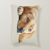 Golden Lab Pillow  アクセントクッション (裏面(縦))