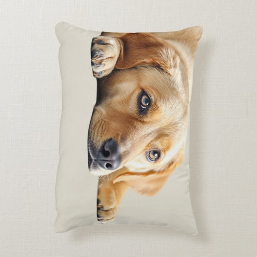Golden Lab Pillow  アクセントクッション (裏面(縦))