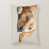 Golden Lab Pillow  アクセントクッション (正面(垂直))