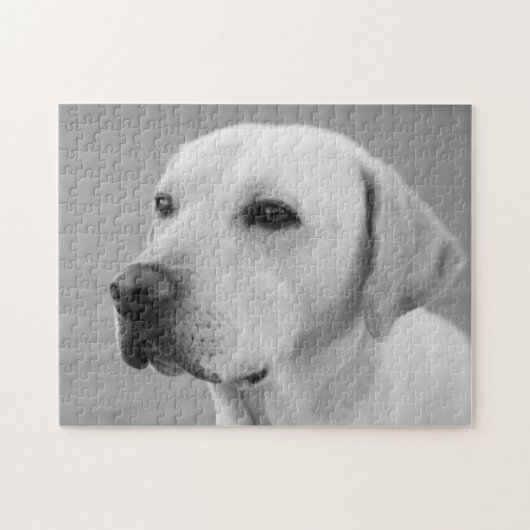 Golden Labrador Retriever Photograph | BW ジグソーパズル (横)