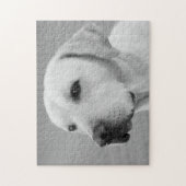 Golden Labrador Retriever Photograph | BW ジグソーパズル (縦)