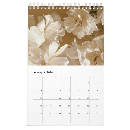 Golden Light calendar 2026 (small) カレンダー (1月 2026)