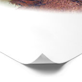 Golden Lion Tamarin, Golden Marmoset Monkey Brazil ポスター (角)