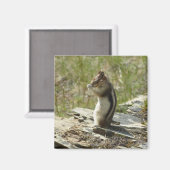 Golden-Mantled Ground Squirrel at Glacier I マグネット (正面/裏面)