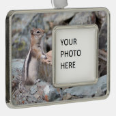 Golden-Mantled Ground Squirrel at Glacier II シルバープレートフレームオーナメント (右)