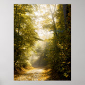 Golden Morning park, Original Fine Art Photograph ポスター (正面)