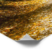 Golden Morning park, Original Fine Art Photograph ポスター (角)