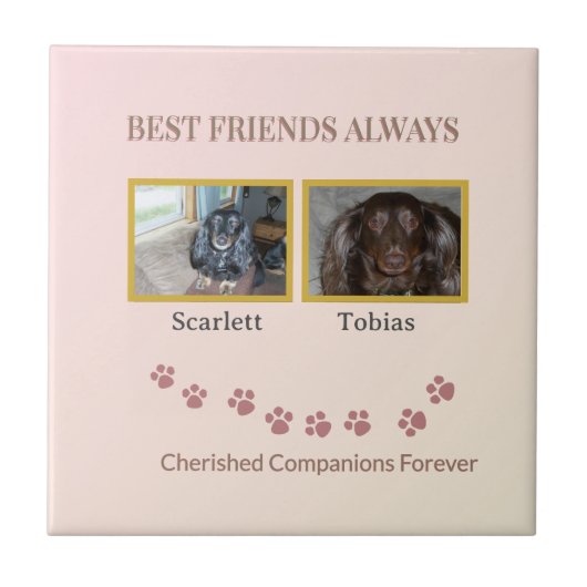 Golden Pawprints Cherished Companions タイル (正面)