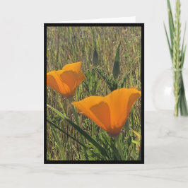 Golden Poppies Easter Card 3 カード