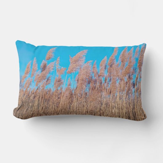 Golden Prairie Grasses Nature Photo Lumbar Pillow ランバークッション (正面)