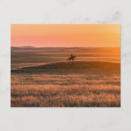 Golden Prairie Party Invitation - Classic Western  ポストカード