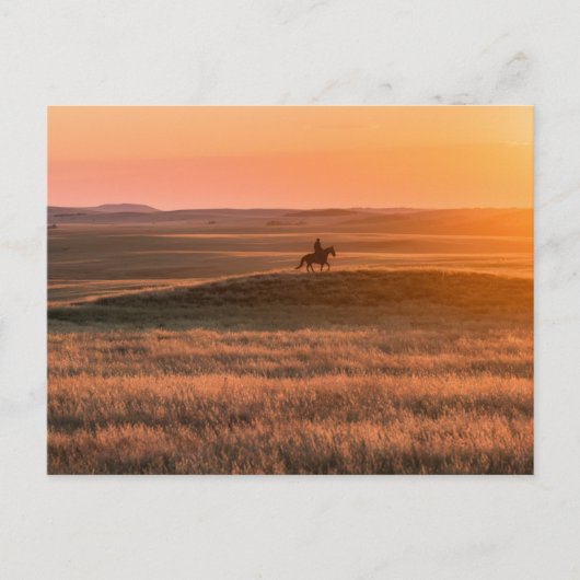 Golden Prairie Party Invitation - Classic Western  ポストカード (正面)