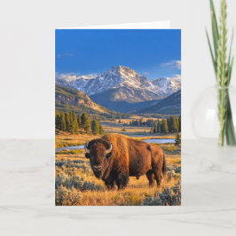 Golden Prairie Wildlife American Bison Blank カード